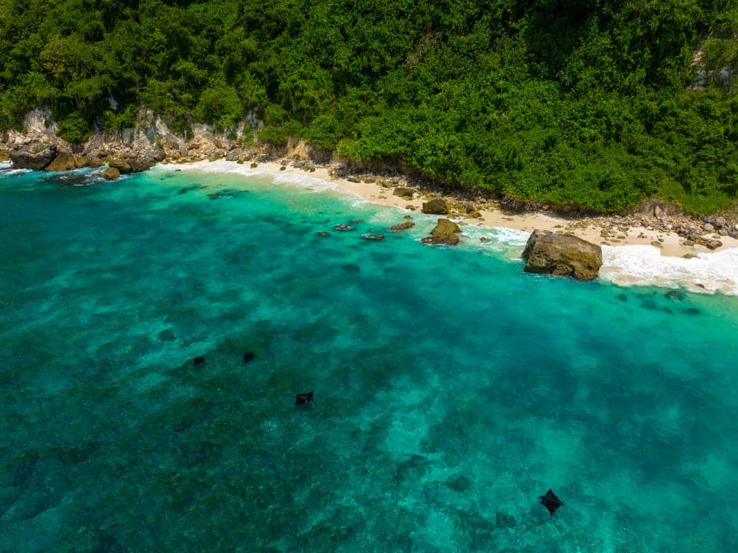 manta-rays-suwehan-beach manta-rays-suwehan-beach