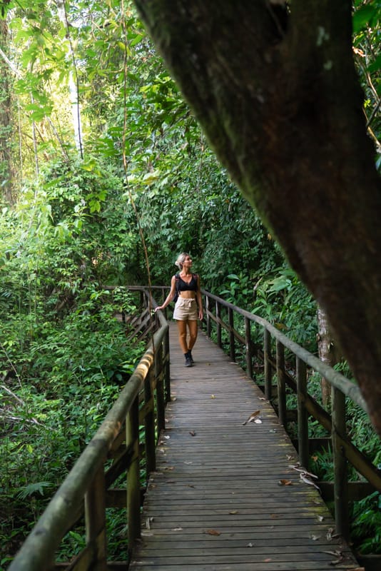 manuel-antonio-national-park-trail