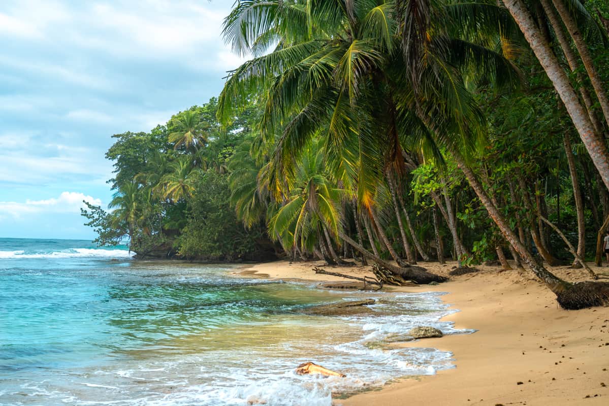 manzanillo-beach-costa-rica-NP manzanillo-beach-costa-rica-NP
