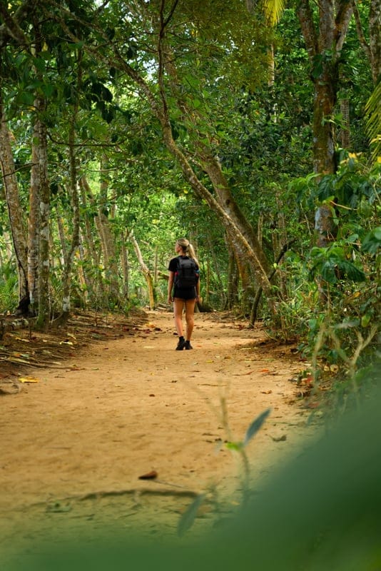 manzanillo-park-path- manzanillo-park-path-