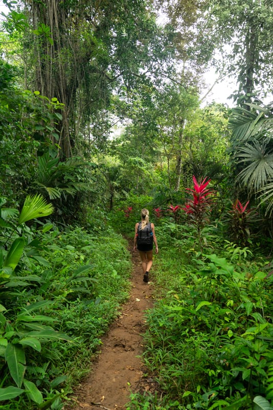 manzanillo-path manzanillo-path