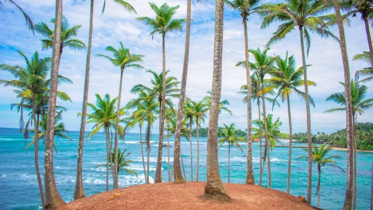 mirissa-things-to-do