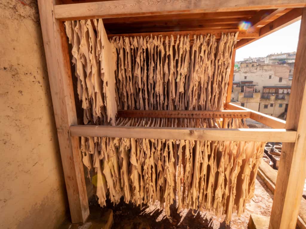 Morocco-Fes-chouara-tannery-leather