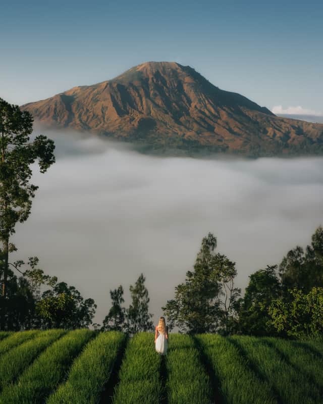 mount-batur-viewpoint-onion-fog