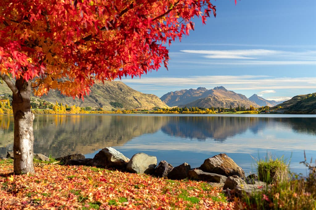 new-zealand-autumn-lake-hayes
