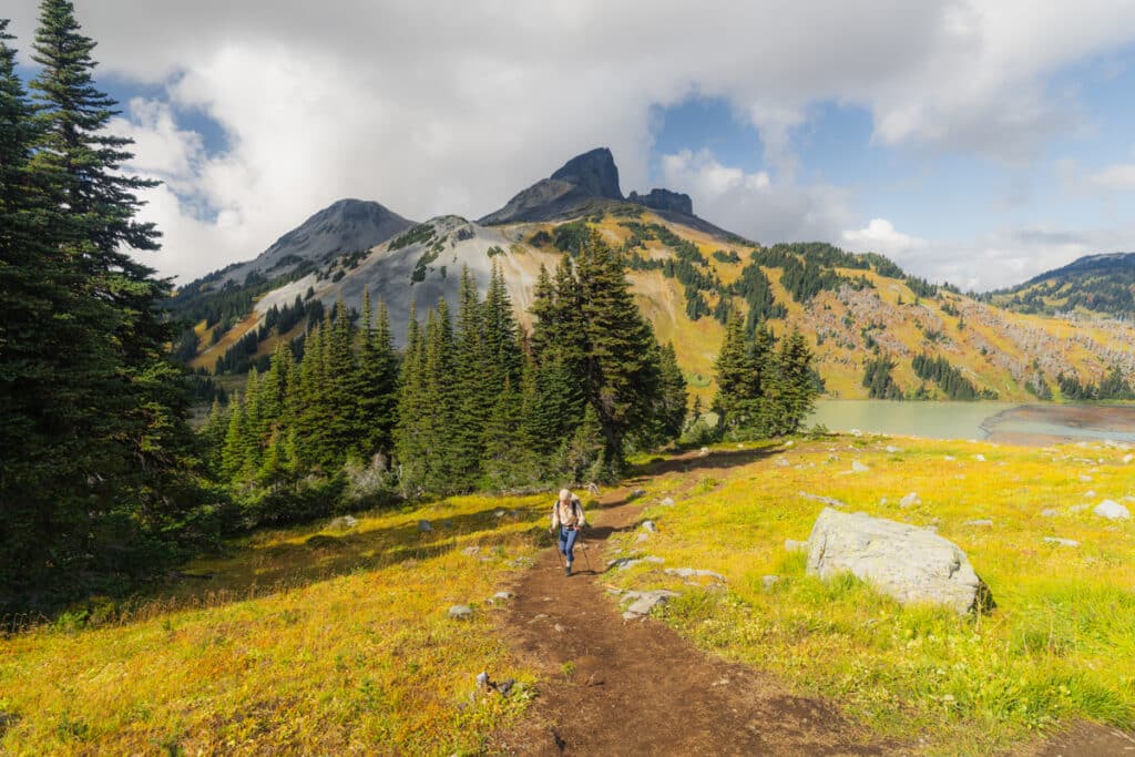 panorama-ridge-hike-black-tusk-view