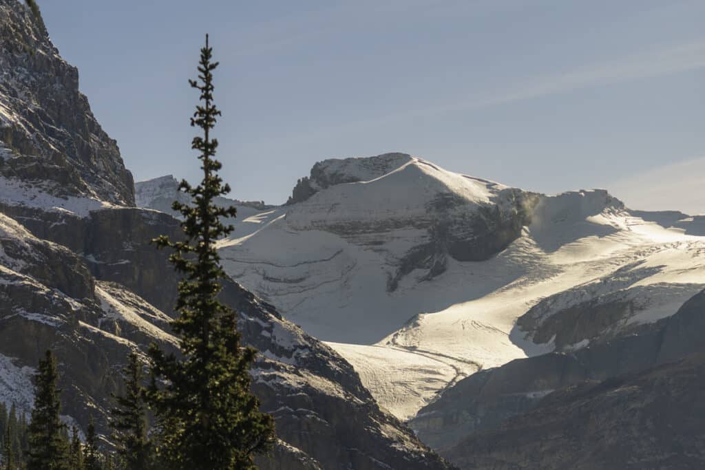 peyto-glacier