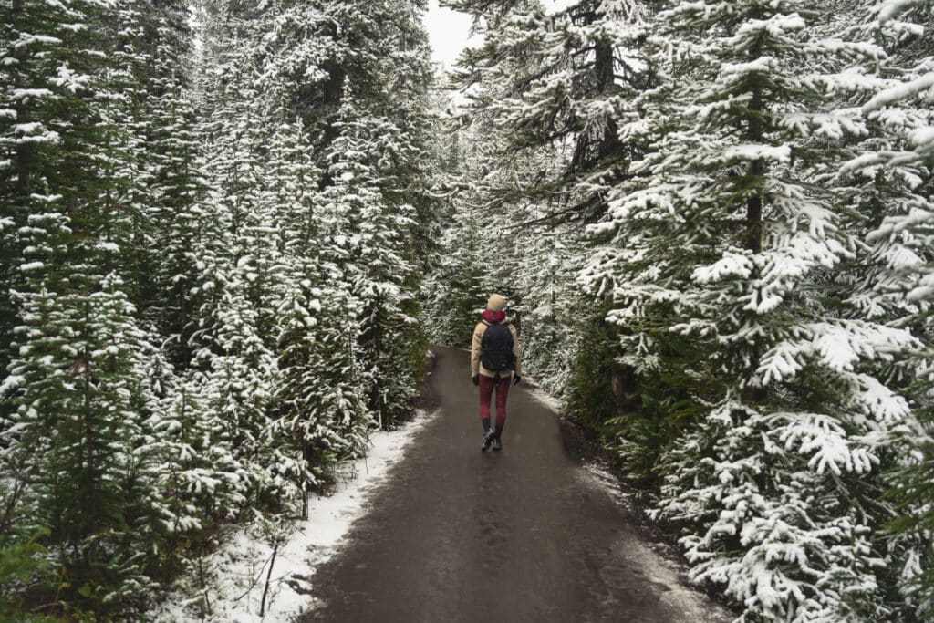 peyto-lake-path-snow