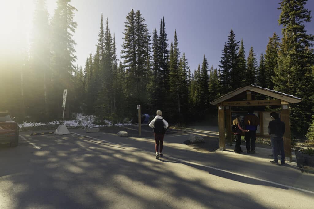 peyto-lake-trailhead-entrance