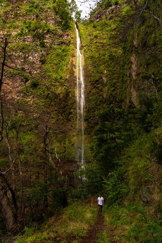 pisao-waterfall-madeira pisao-waterfall-madeira