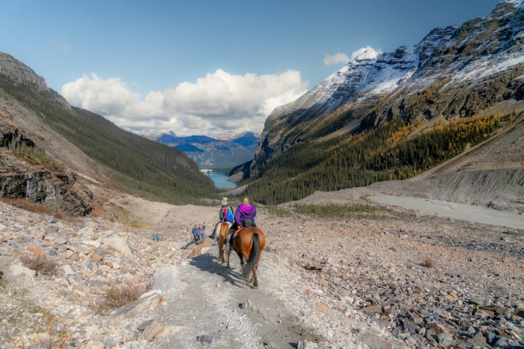plain-of-the-six-glaciers-horses