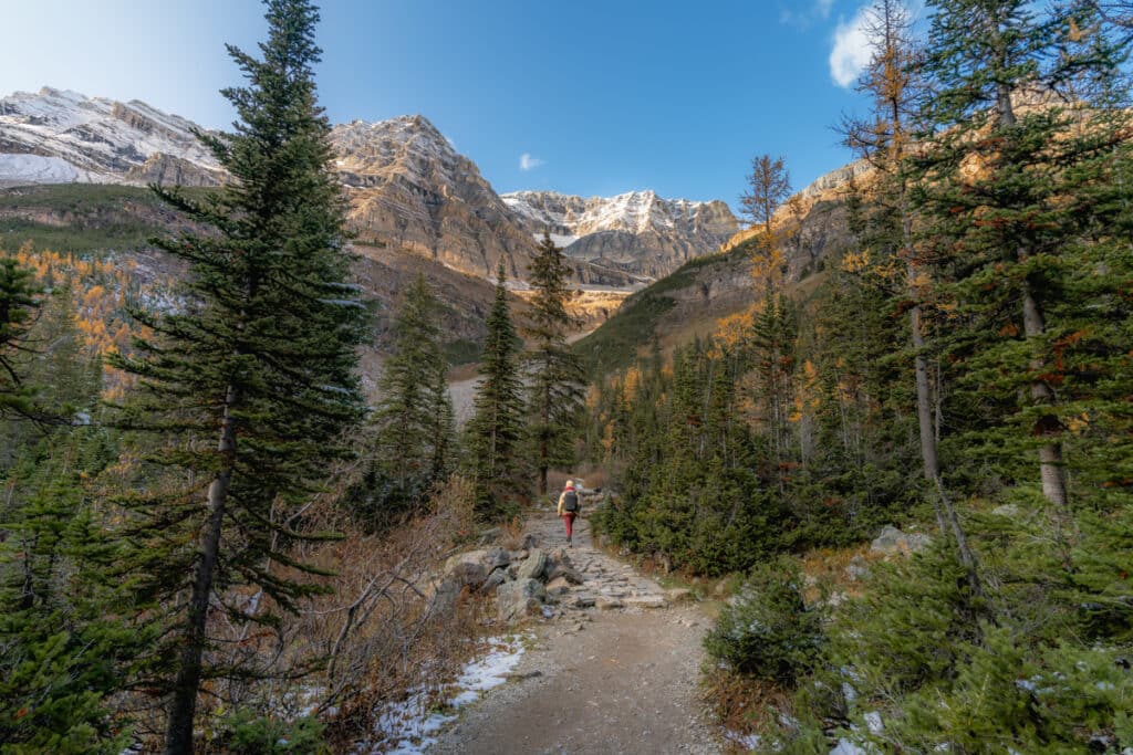 plain-of-the-six-glaciers-paved-path