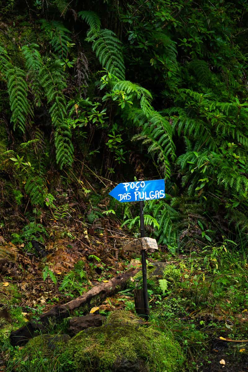 poco-das-pulgas-sign