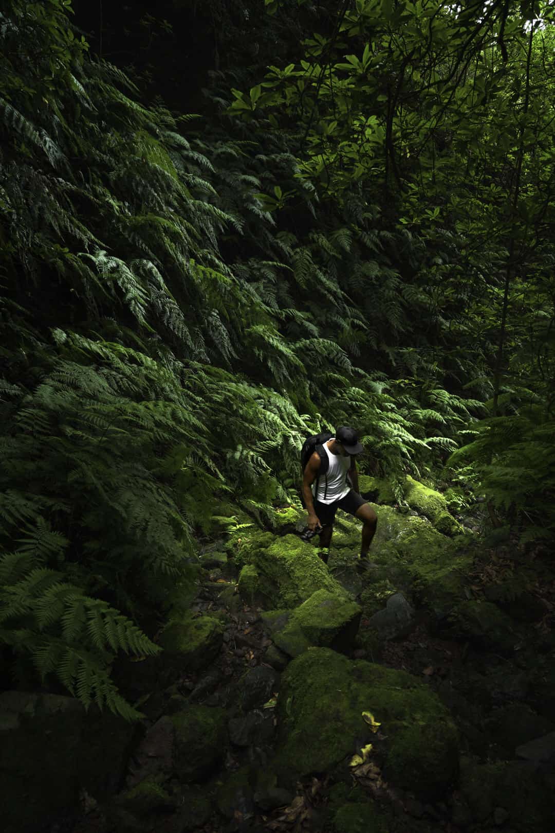 Poco-das-pulgas-waterfall-hike