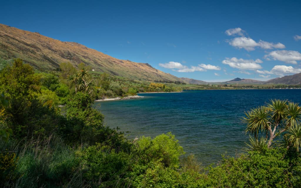 queenstown-road-stop-lake-wakatipu-view