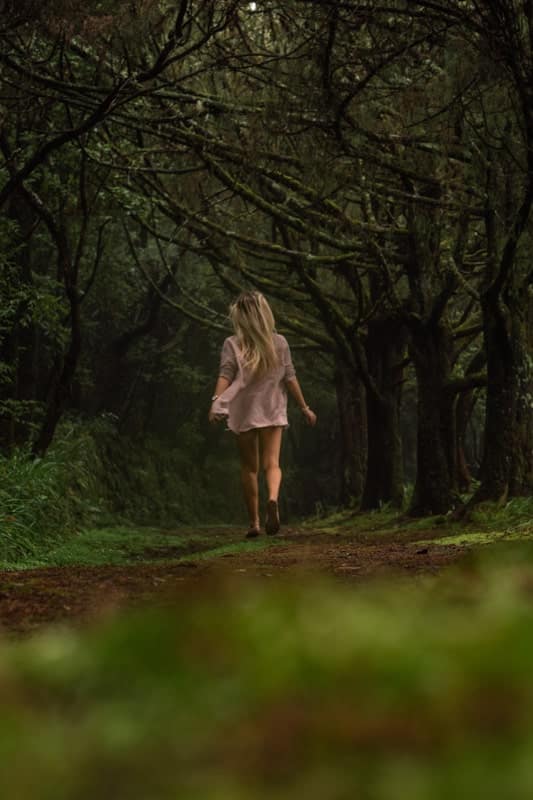 Queimadas-Forest-Park-1 Queimadas-Forest-Park-1