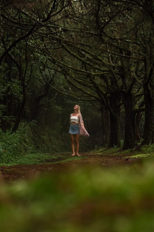 Queimadas-Forest-Park-2 Queimadas-Forest-Park-2