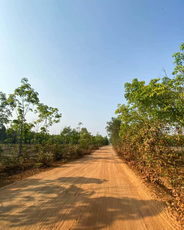 road-taung-wine-mountain