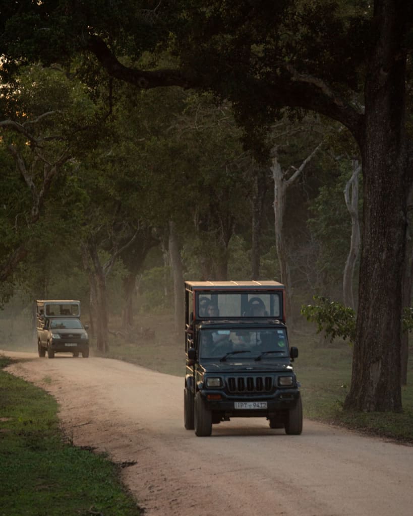 safari-sri-lanka-yala-jeeps yala-national-park