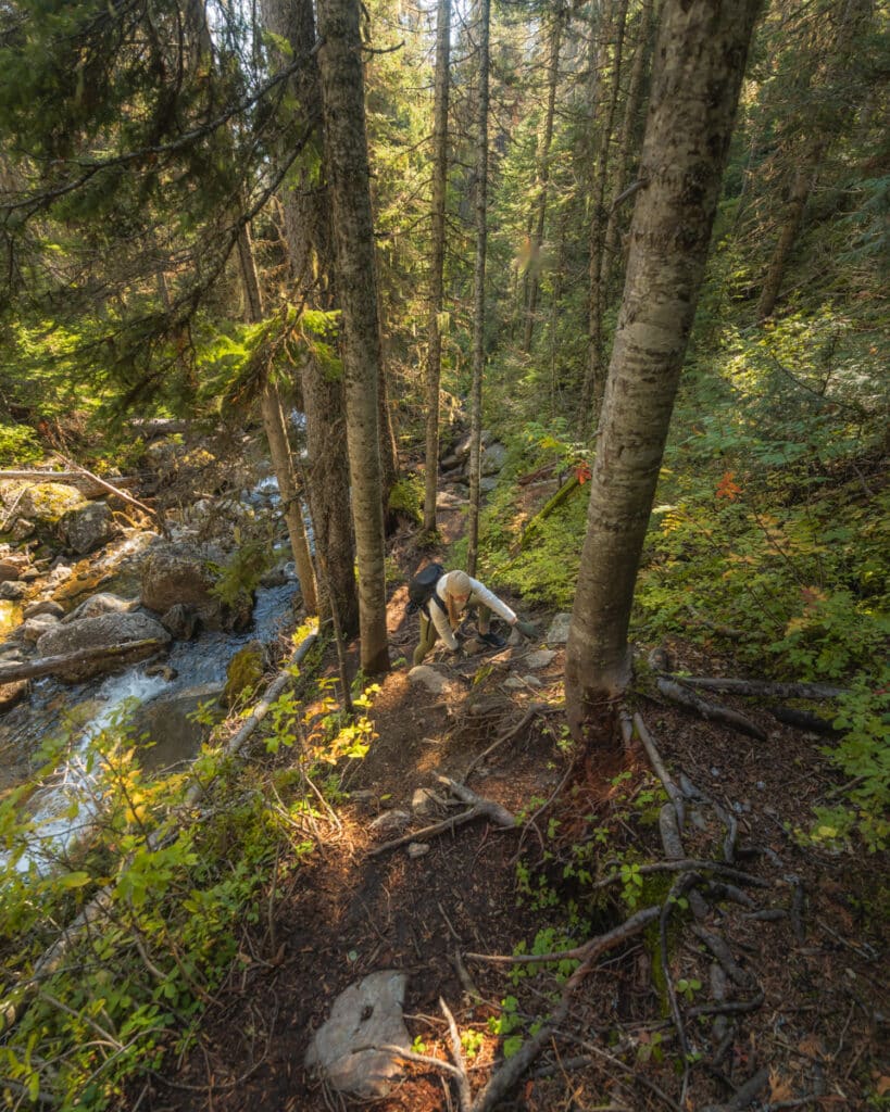 silvertip-falls-trail-wells-gray