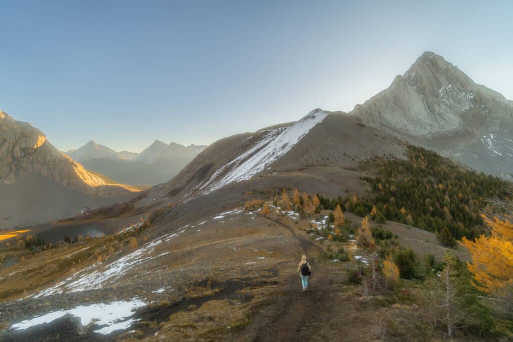 smutwood-peak-hike-larch-trees