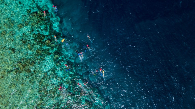 Koh-Tao-snorkeling-guide