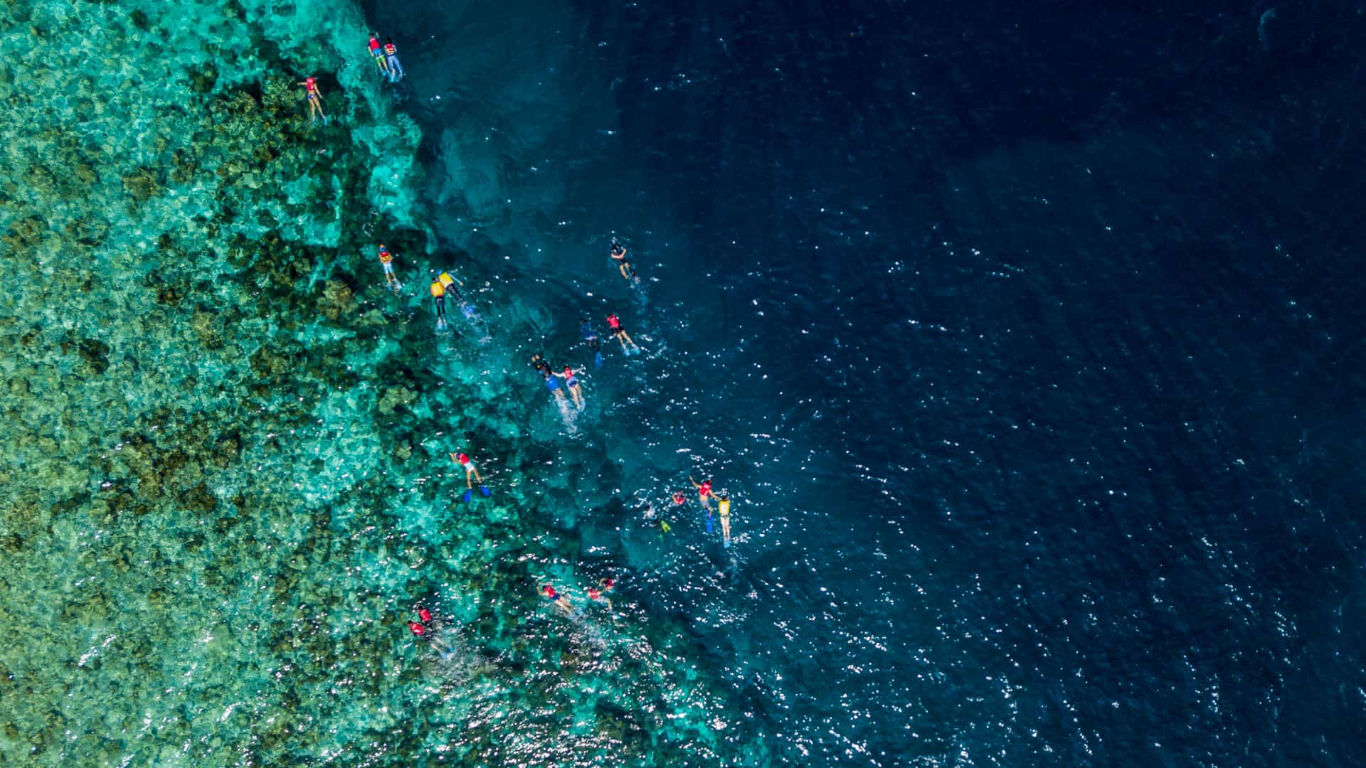 Koh-Tao-snorkeling-guide