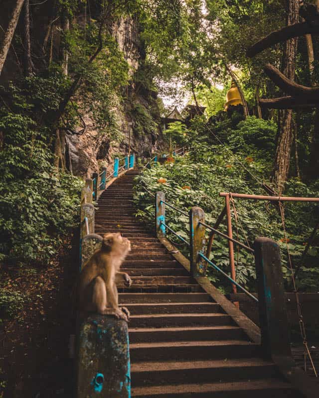 stairs-tiger-cave-temple stairs-tiger-cave-temple