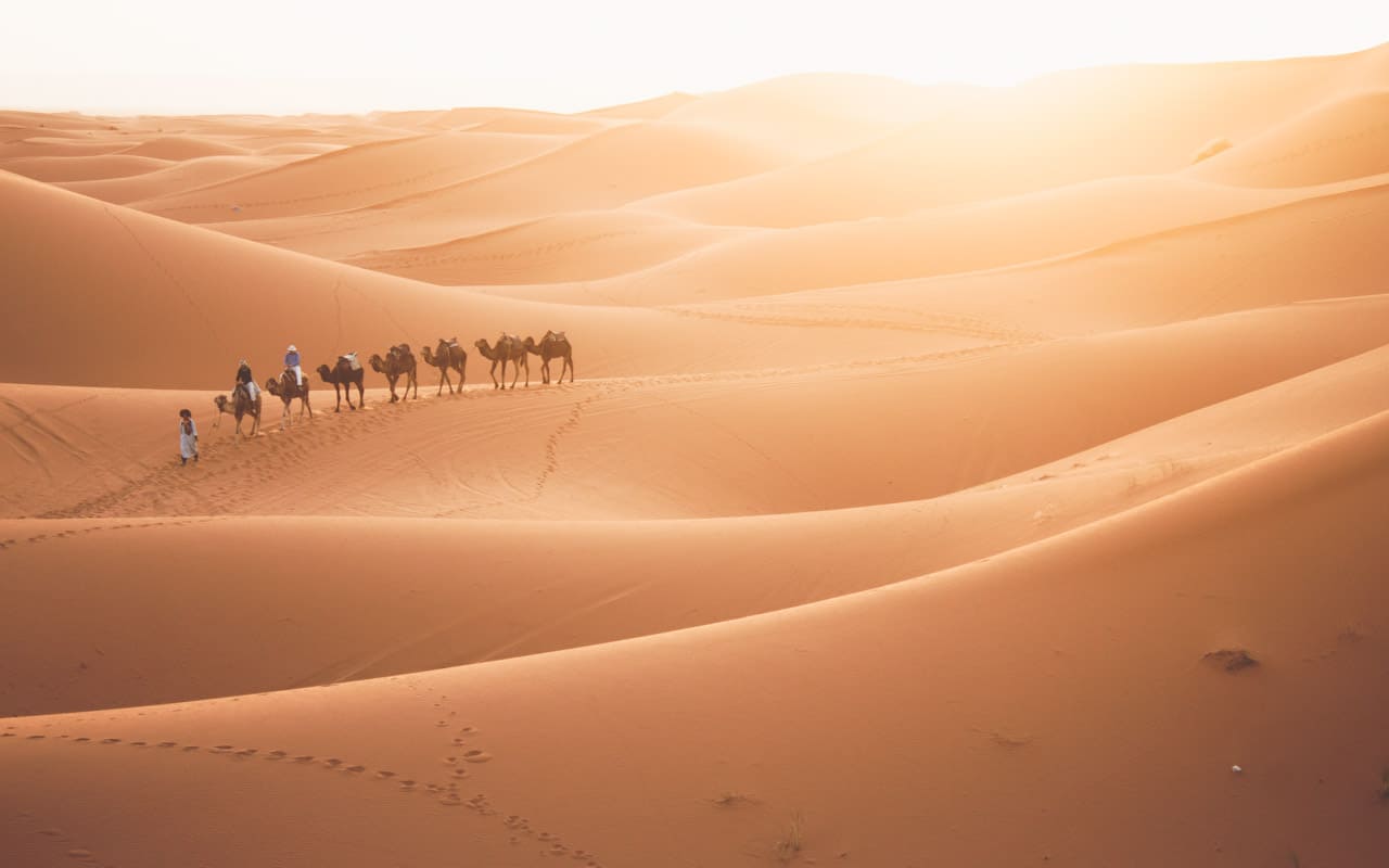 sunset-camel-ride-morocco-desert sunset-camel-ride-morocco-desert
