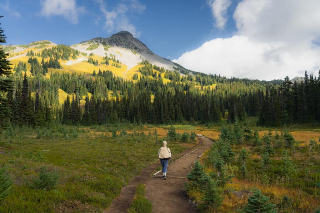 taylor-meadows-black-tusk-view-panorama-ridge-hike
