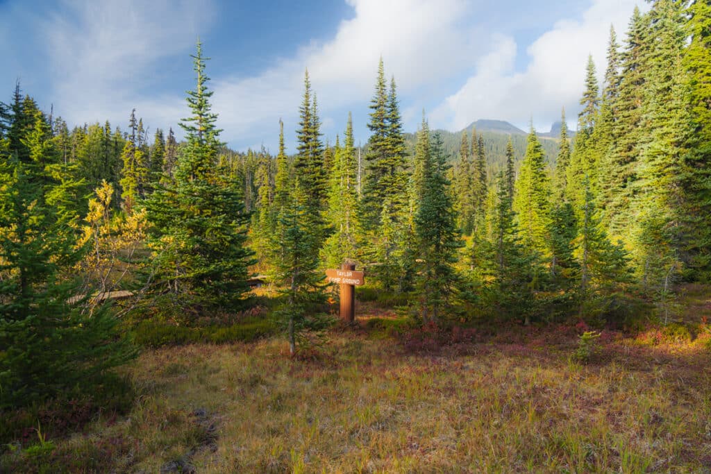 taylor-meadows-campground