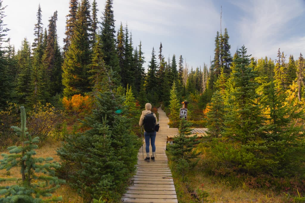 taylor-meadows-toilets