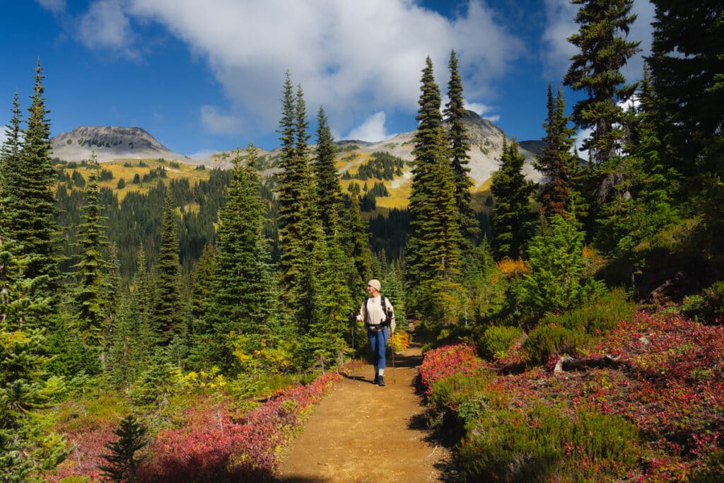 taylor-meadows-trail-panorama-ridge