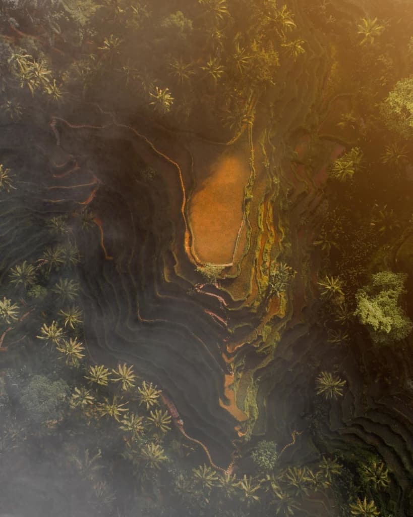 tegalalang-rice-terrace-ubud tegalalang-rice-terrace-ubud