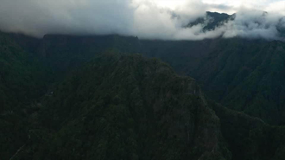 tilt-reveal-end tilt-reveal-end