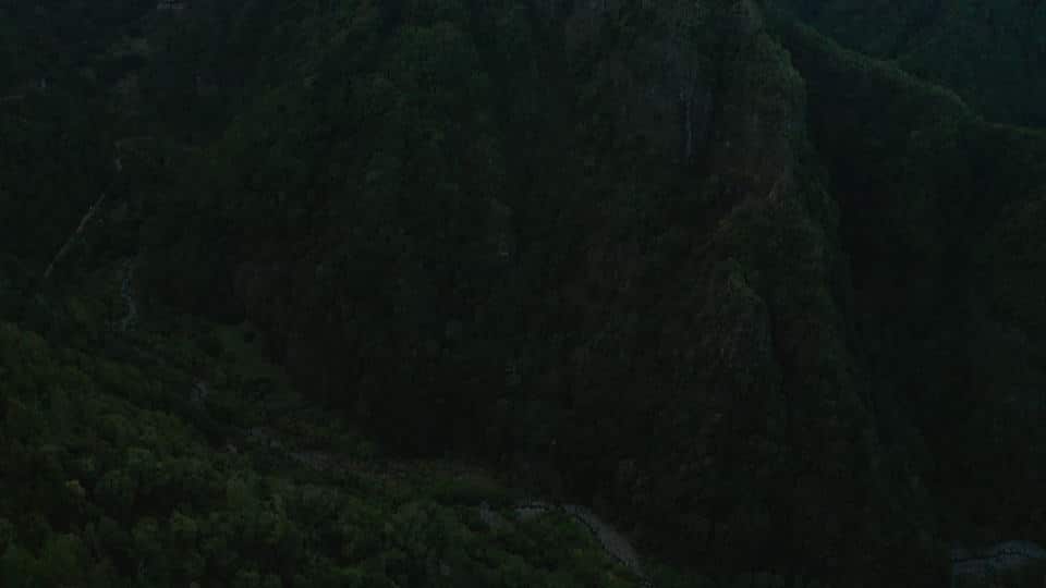 tilt-reveal-start tilt-reveal-start