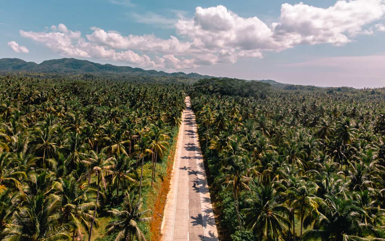 tropical-road