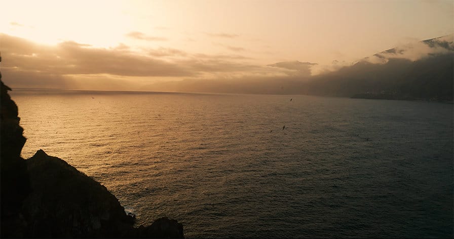 unveiling-drone-shot-start unveiling-drone-shot-start