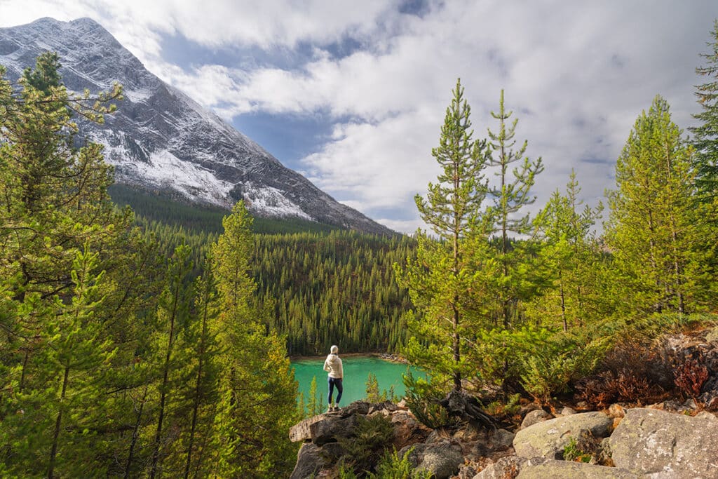 Vista-Lake-see-through
