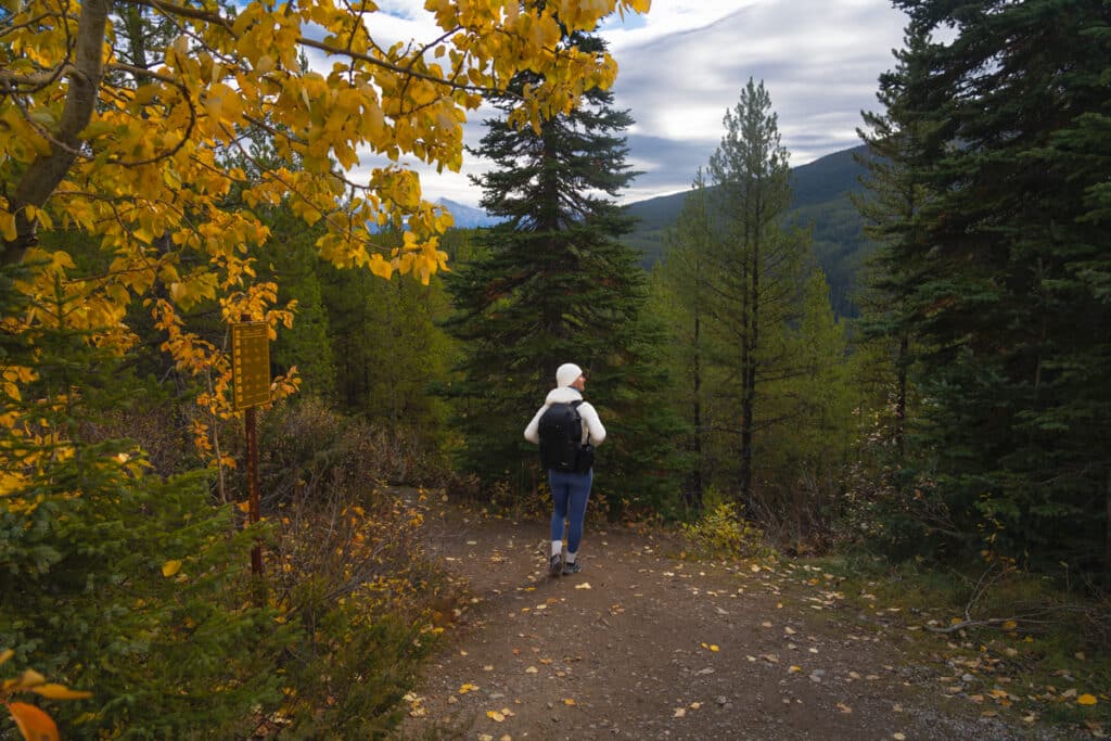 vista-lake-trailhead