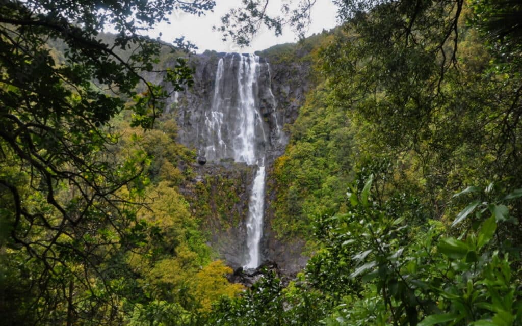 Wairere-Falls-new-zealand