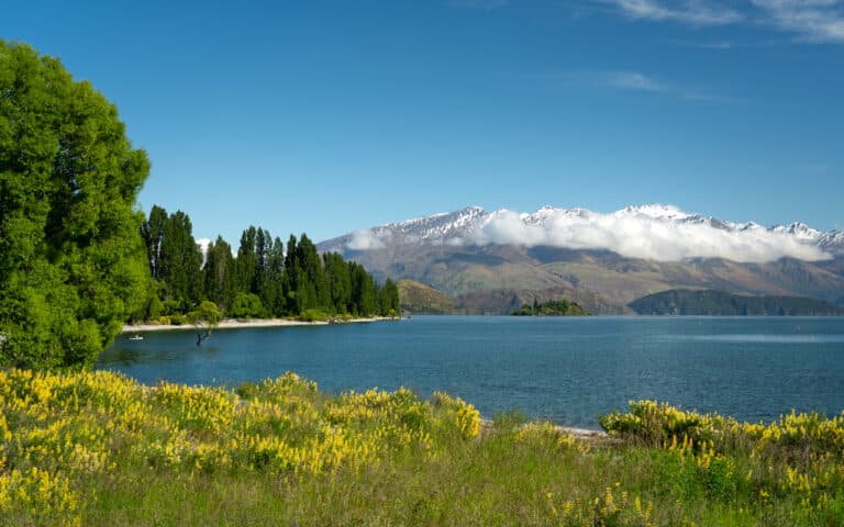 Wanaka-things-to-do