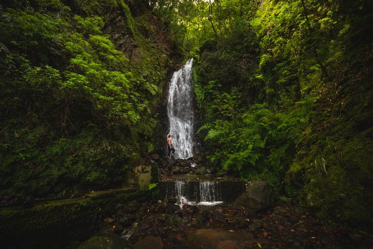waterfall-in-madeira-levada-dos-tornos2 waterfall-in-madeira-levada-dos-tornos2