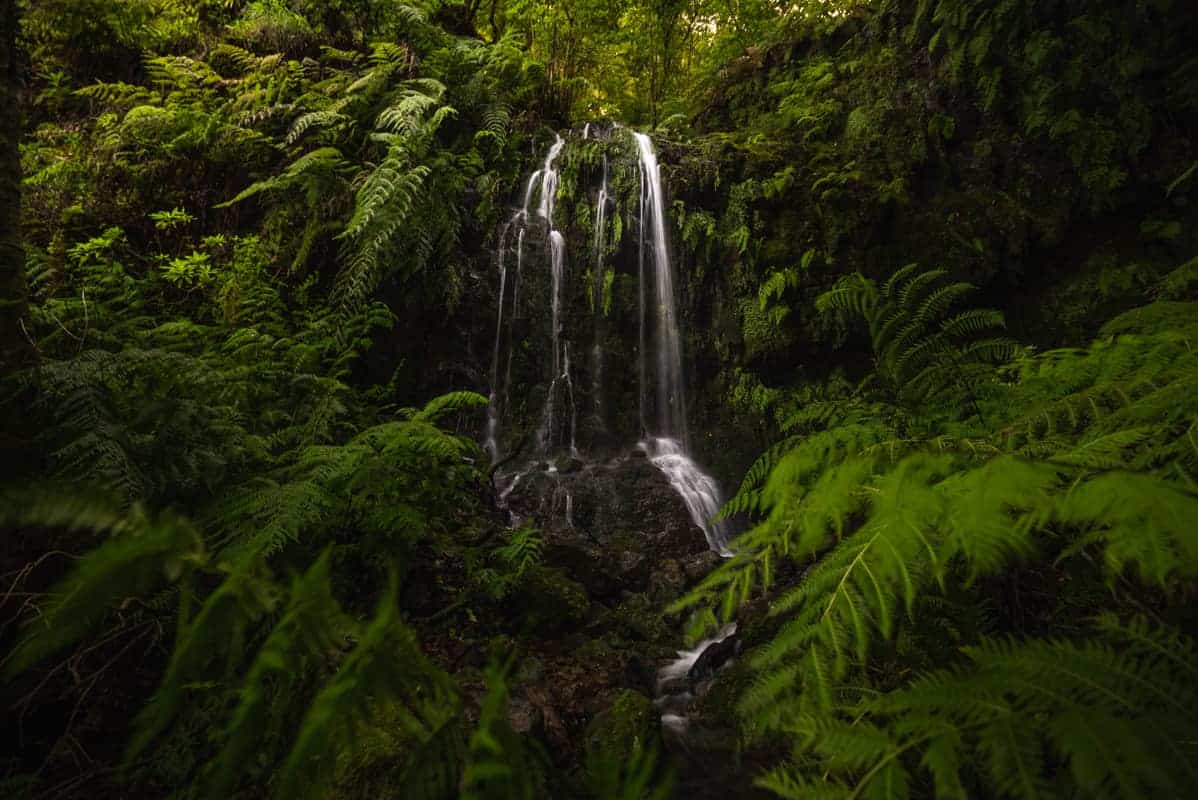waterfall-in-madeira-levada-dos-tornos waterfall-in-madeira-levada-dos-tornos