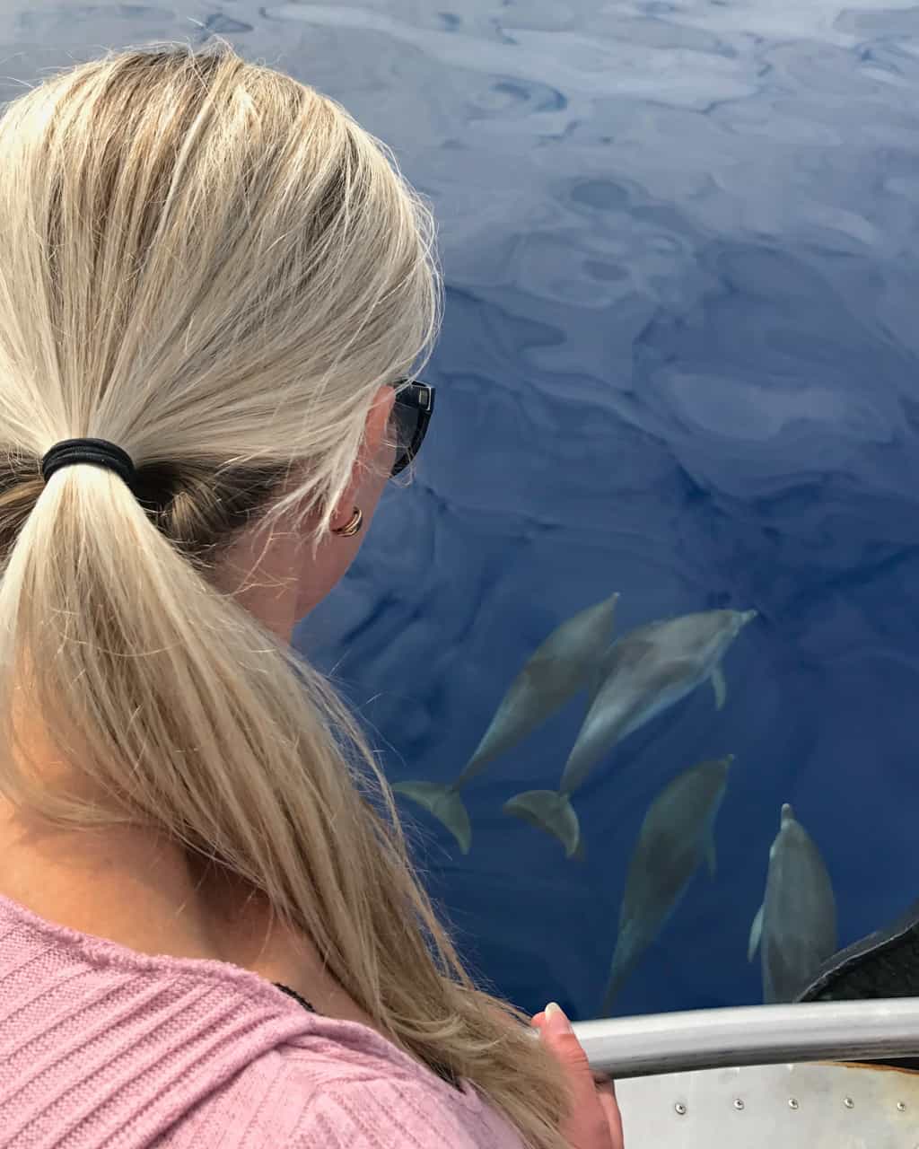 Whale-watching-Azores-dolphins