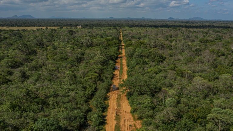 yala-national-park-safari-jungle-jeep-drone