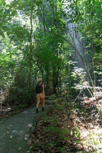 manuel-antonio-national-park-trail-light