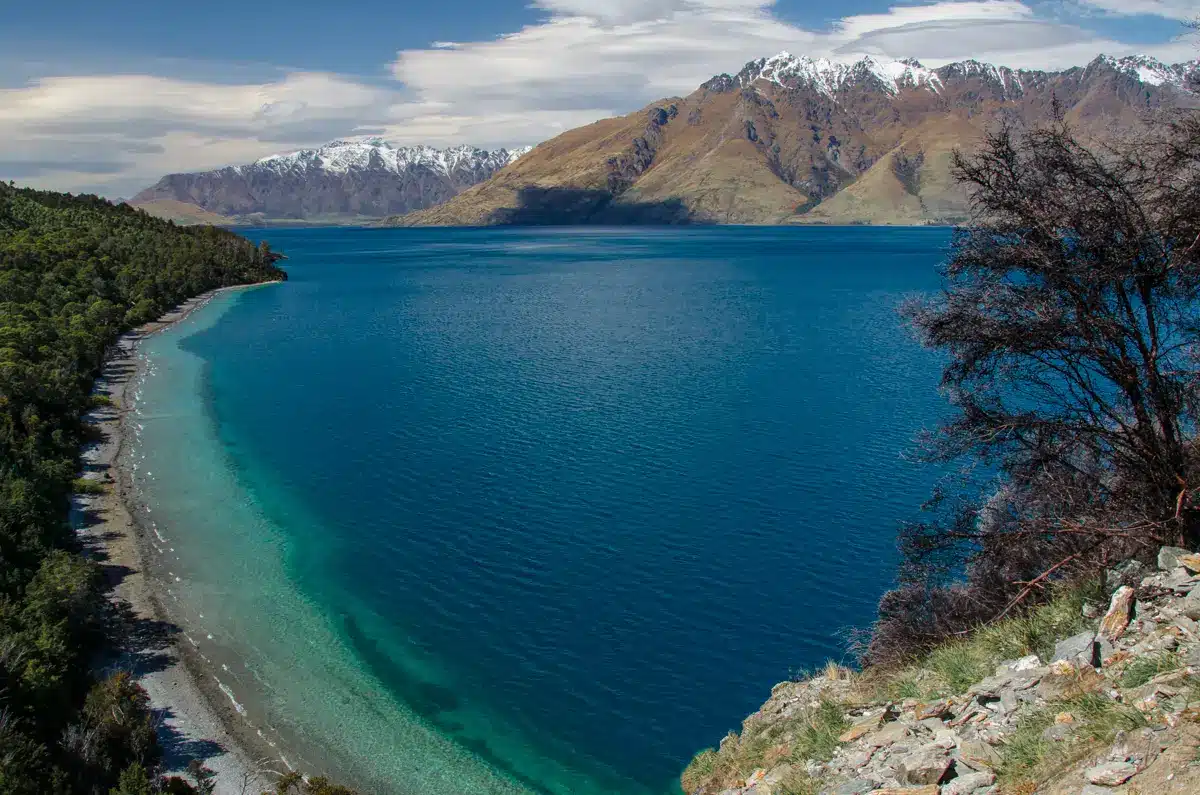 bobs-cove-track-viewpoint bobs-cove-track-viewpoint
