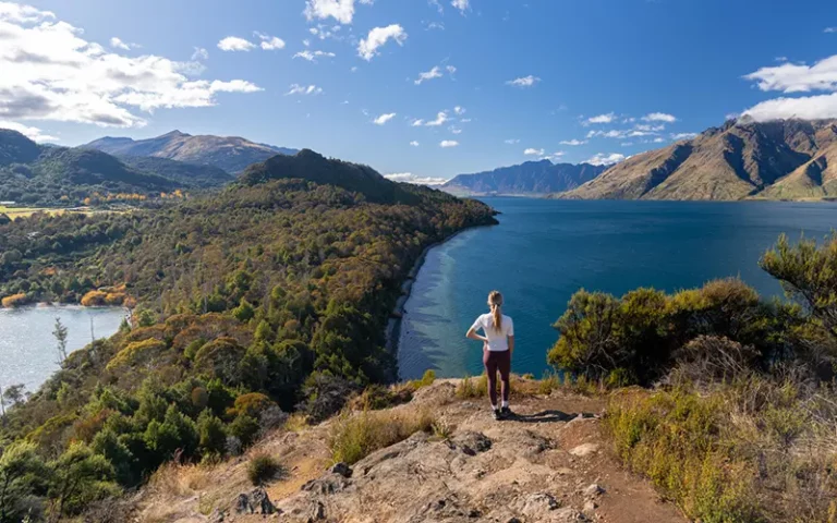 bobs-cove-viewpoint-queenstown-viewpoint