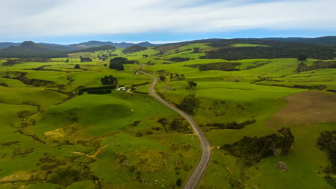 catlins-highway catlins-highway